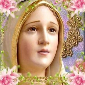 Meet your Posher, Katy